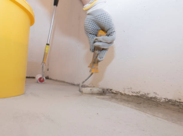 Best Pest Prevention Services  in Marshall, IL